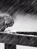 Love didn’t touch me