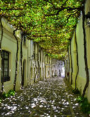 Ronie Dinosaur Chapter 14 – Luxury and Need