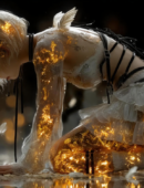 Bhoot Jolokia Fiery Curry