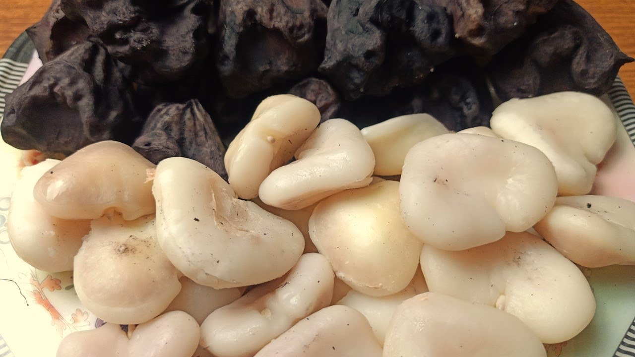 Ronie Dinosaur Chapter 61: Beg for Love