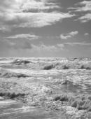 where would ronie be