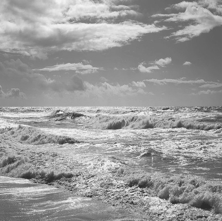 where would ronie be